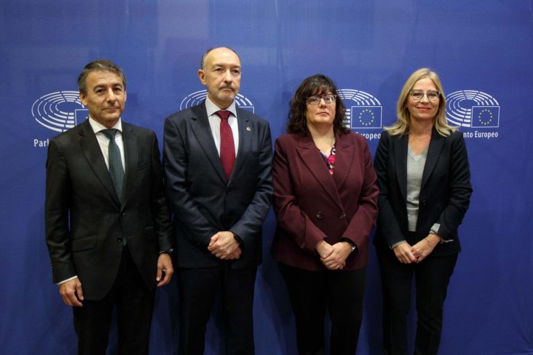 Zaragoza busca captar fondos europeos para mejorar problemas medioambientales