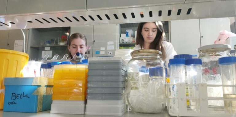 El Gobierno de Aragón destina 6,9 millones a contratar a 65 investigadores predoctorales