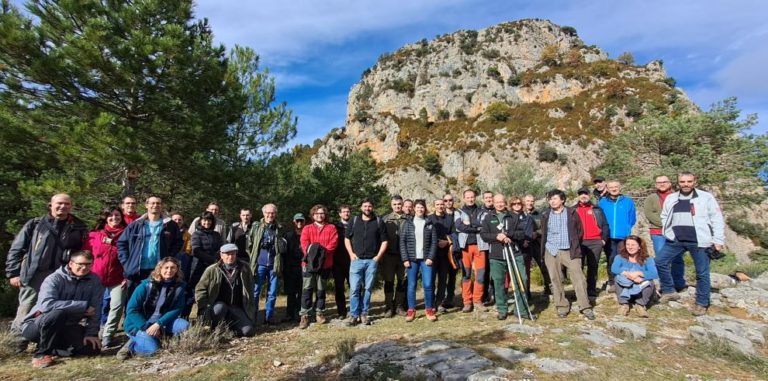Aragón debate cómo mejorar la sanidad forestal en el marco del programa europeo FORESPIR