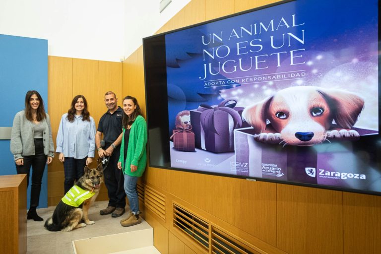 ‘Un animal no es un juguete’, la nueva campaña de adopción responsable en Navidad