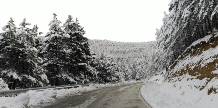 Más de un centenar de rutas escolares suspendidas ante el temporal de nieve en Aragón