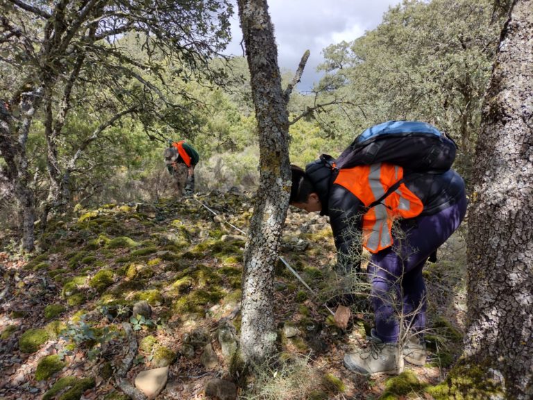 Cabeza Ladrero amplía sus fronteras con el hallazgo de una nueva necrópolis