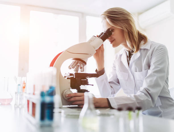 Así ha sido la primera reunión de la Comisión Asesora Mujer y Ciencia después de dos años