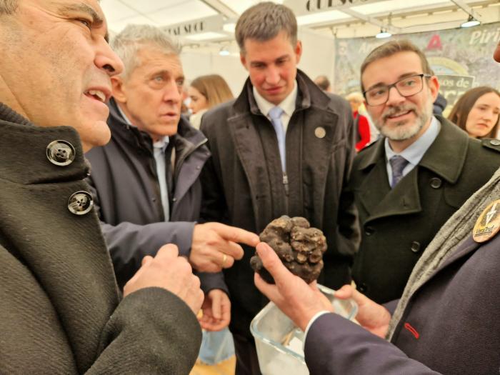Vera de Moncayo celebra su feria de la trufa negra
