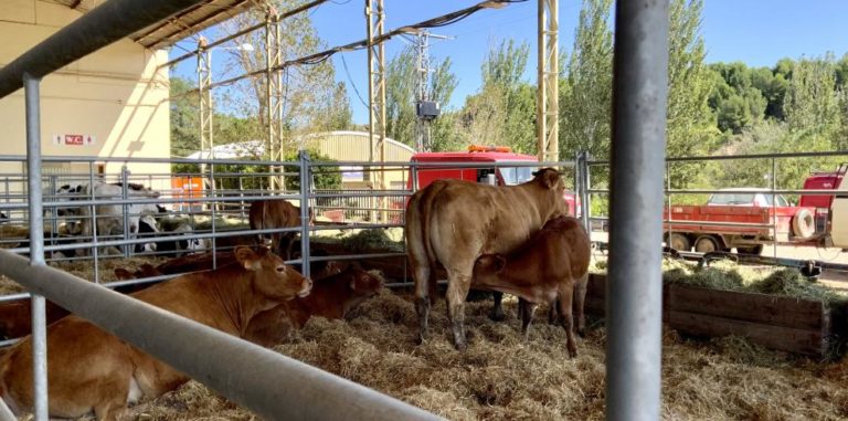La DGA publica nuevas ayudas para el sector agrario