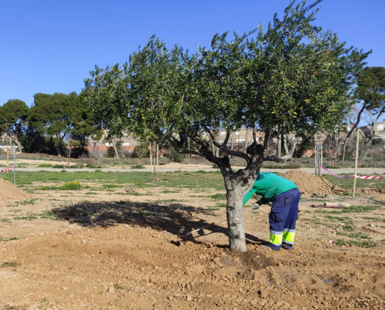 Los aranceles de Trump amenazan la agricultura aragonesa y preocupan a los agricultores