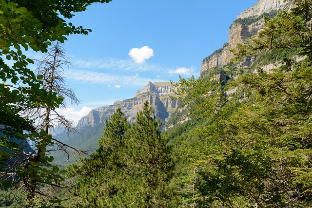 ¿Está «Canal Roya» en el nuevo plan pirineos?