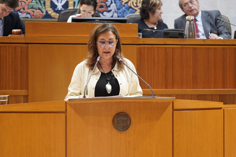 PP y Vox bloquean la propuesta de Teruel Existe para crear Bancos de Tierras en Aragón: