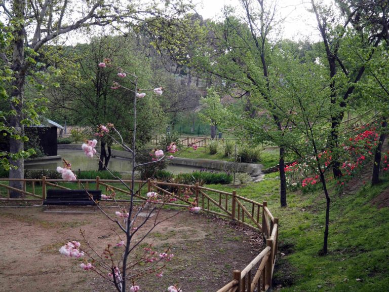 Nuevo parque japonés en Zaragoza