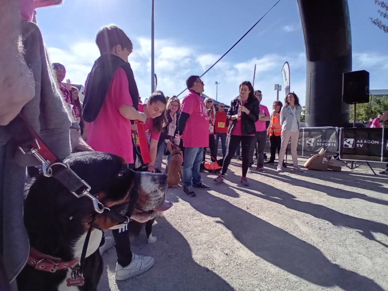La II Andada Canina y Familiar Kalibo reunió en el Parque del Agua a más de 850 perros