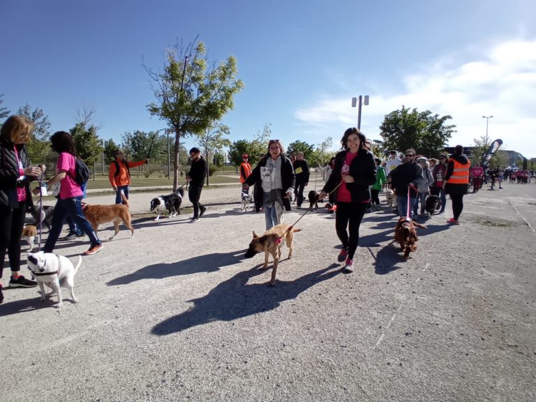 Éxito de la andada popular con perros en el Parque del Agua