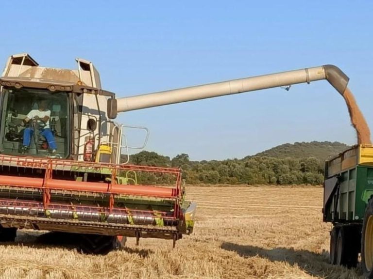 253 jóvenes agricultores recibirán 15,8 millones de euros en ayudas en Aragón 253 jóvenes agricultores recibirán 15,8 millones de euros en ayudas en Aragón