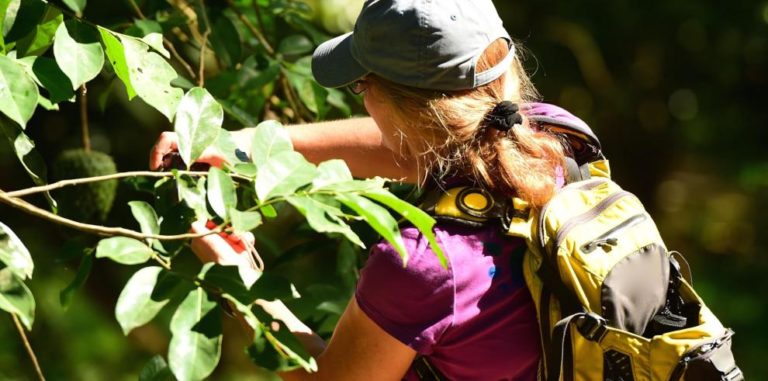 El Instituto Aragonés de la Juventud abre inscripciones para campos de voluntariado juvenil en Aragón este verano