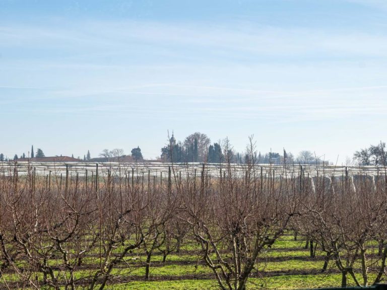 Ayudas de 1,5 millones para la formación de agricultores y ganadería en Aragón