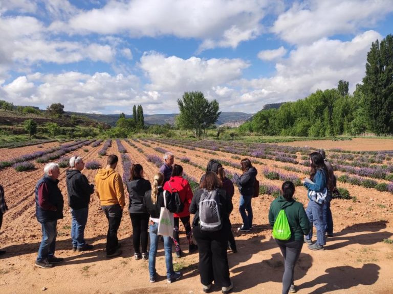 Villarroya de los Pinares acoge jornada sobre turismo agroalimentario en Teruel
