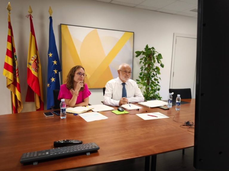 Aragón se opone al nuevo Real Decreto sobre menores migrantes en la Conferencia Sectorial de Infancia