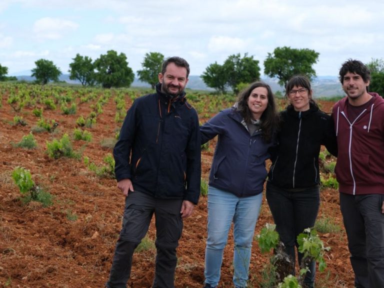 Viñedos en Teruel: Proyecto FITE ACTIVIté busca recuperar cepas autóctonas y revitalizar el sector