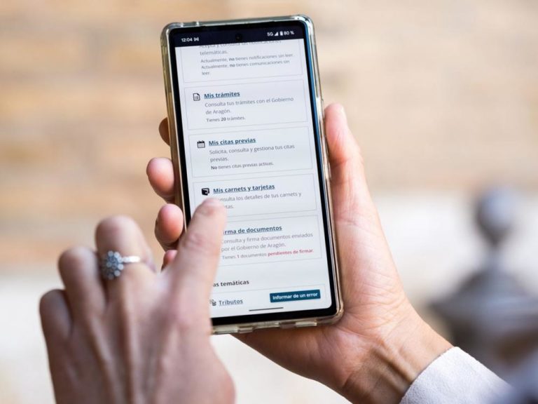 El carnet de familia numerosa y monoparental ya está disponible en formato digital en Aragón