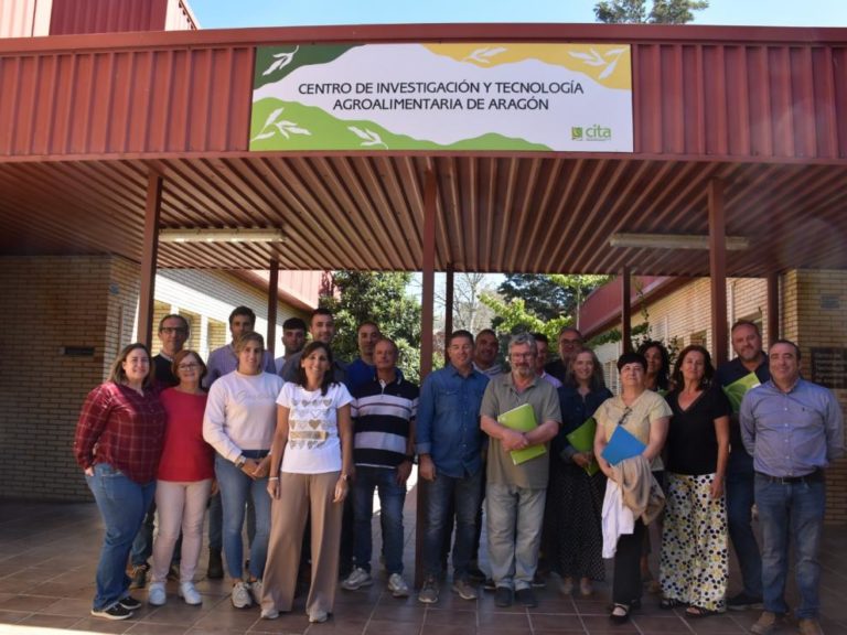 Técnicos y agricultores de Teruel se unen para mejorar la calidad del trigo blando