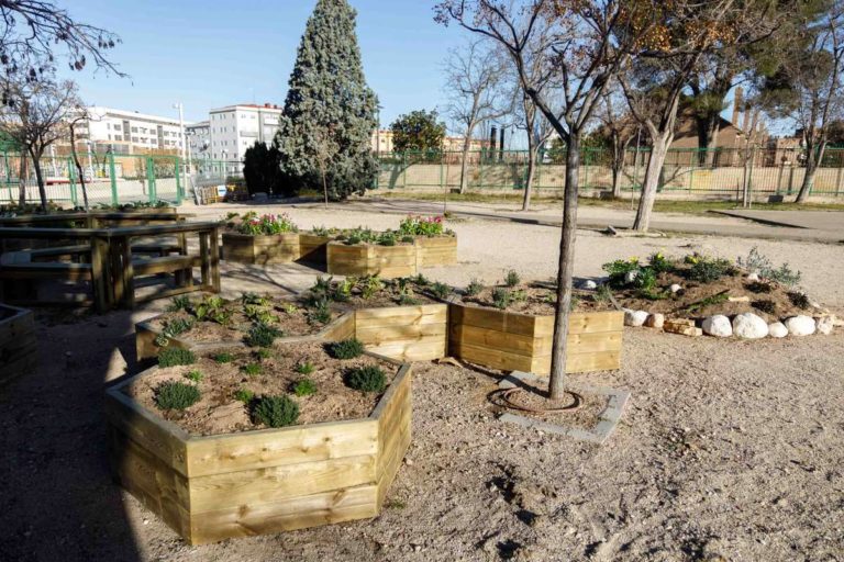 Zaragoza lanza guías para transformar patios escolares en espacios naturales