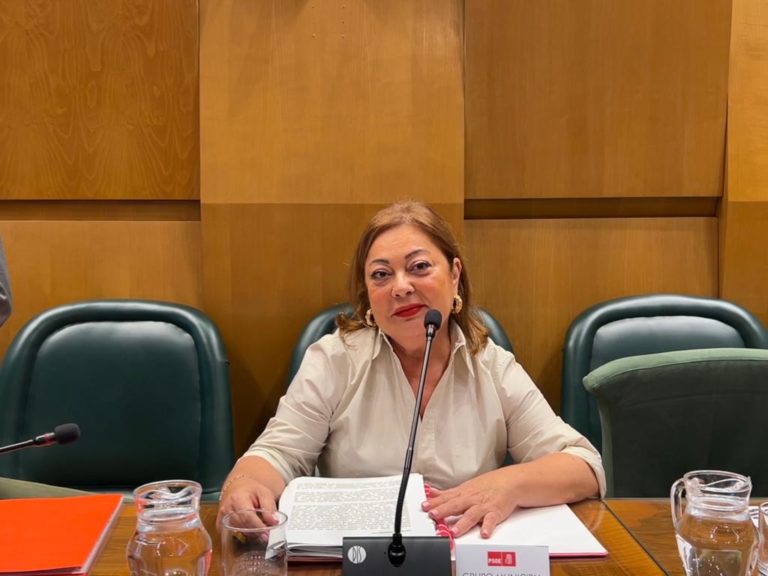 El PSOE critica a Chueca por “desatender” a los barrios rurales de Zaragoza