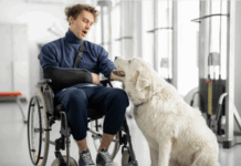 Aprobada la regulación que garantiza acceso a perros de asistencia en Aragón