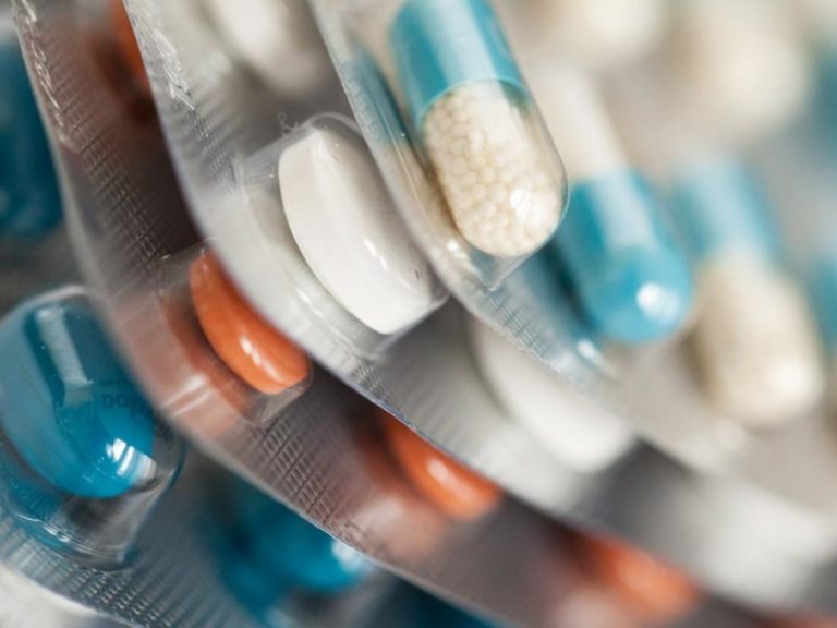 Aragón avanza en la Estrategia de Una Sola Salud para mejorar la salud pública