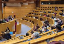 Aragón destaca en el Senado su gestión de la dependencia y solicita más fondos al Gobierno español