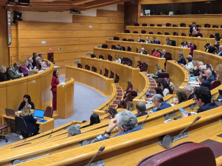 Aragón destaca en el Senado su gestión de la dependencia y solicita más fondos al Gobierno español
