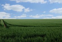 Aragón destina 11,8 millones de euros para el seguro agrario en 2025