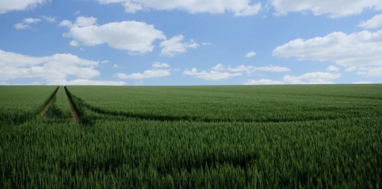 Aragón destina 11,8 millones de euros para el seguro agrario en 2025