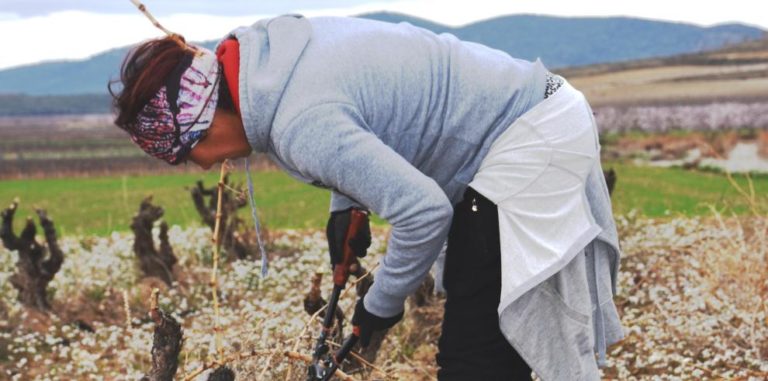 Aragón destina 28 millones en ayudas para jóvenes agricultores y la modernización de explotaciones