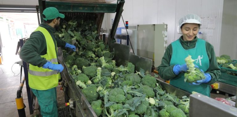Aragón destina más de 18 millones de euros para apoyar a 71 empresas agroalimentarias