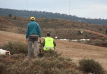 Aragón establece nuevas normas para el enterramiento de perros de caza y pastores
