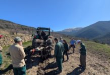 Aragón impulsa el cultivo de plantas aromáticas y medicinales para combatir el cambio climático