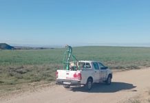 Aragón inicia un tratamiento contra plagas de langosta en Monegrillo