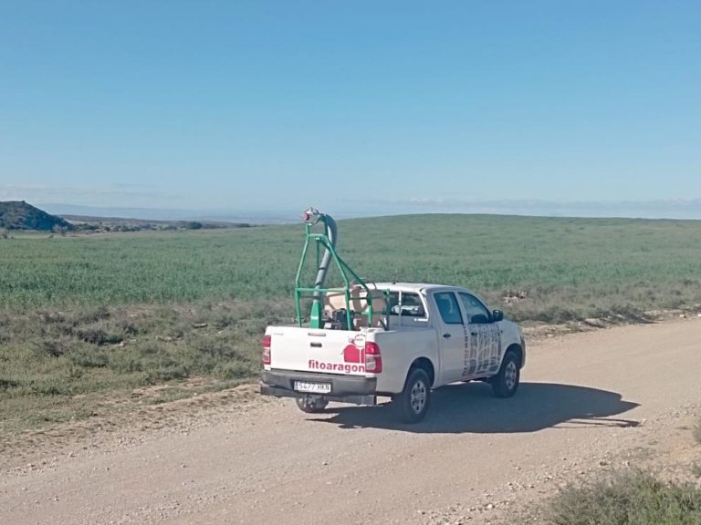 Aragón inicia un tratamiento contra plagas de langosta en Monegrillo