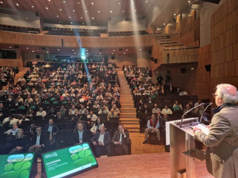 Aragón lidera la producción de alfalfa en España con más del 60% del total