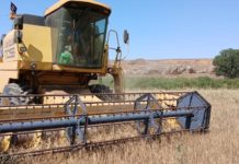 Aragón recibe 94,3 millones de euros en ayudas directas de la PAC 2025