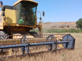 Aragón recibe 94,3 millones de euros en ayudas directas de la PAC 2025