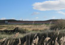 Aragón simplifica la gestión de estiércoles para los ganaderos