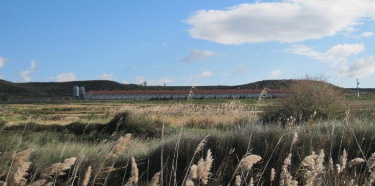 Aragón simplifica la gestión de estiércoles para los ganaderos