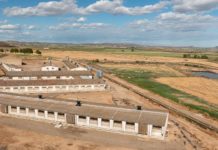 Aragón solicita al Ministerio acelerar negociaciones para proteger las exportaciones de porcino