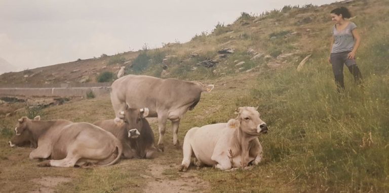 Aumenta el liderazgo femenino en el sector agrario de Aragón: un 23% de explotaciones están dirigidas por mujeres
