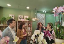 El Gobierno de Aragón anuncia ayudas de 480 mil euros para PYMES de comercio en Aragón