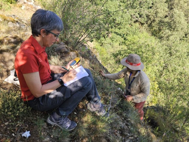 Banco de Germoplasma Hortícola del CITA recolecta 29 accesiones de semillas silvestres en Aragón