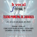 BannerDiarioAragones300x300