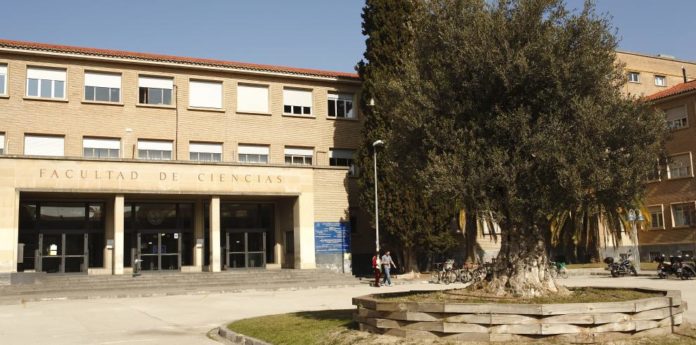 Becas Erasmus y movilidad internacional benefician a 296 universitarios en Aragón_1