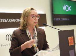 Rouco critica la falta de información del Gobierno de Aragón sobre inversiones chinas
