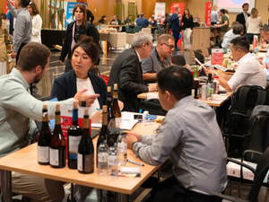Compradores de 15 países se reunirán con bodegas aragonesas en evento internacional de vinos